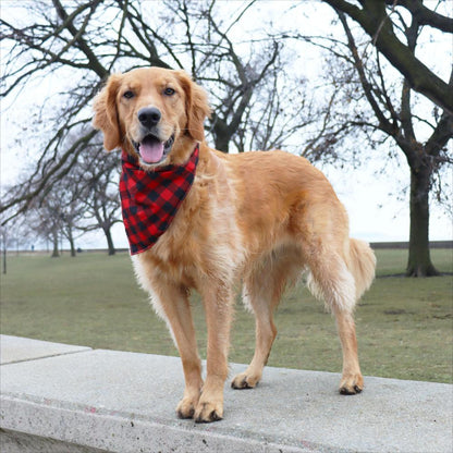 CROWNED BEAUTY Reversible Valentine's Day Dog Bandanas -Sweet Hearts Set- 2 Pack for Medium to XL Dogs DB150-L