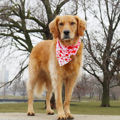 CROWNED BEAUTY Reversible Valentine's Day Dog Bandanas -Heart Charm Set- 2 Pack for Medium to XL Dogs DB151-L