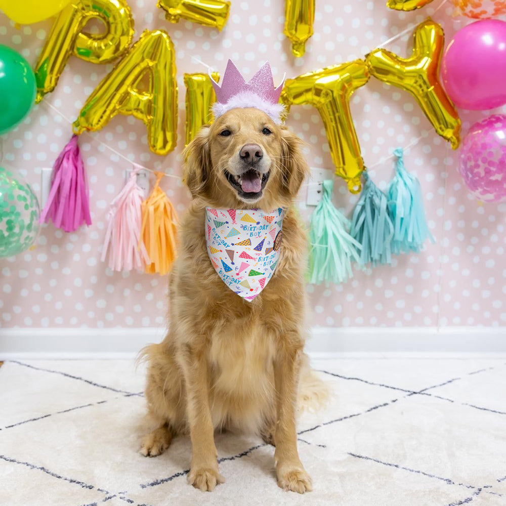 CROWNED BEAUTY Reversible Birthday Dog Bandanas -Birthday Boy Set- 2 Pack for Medium to XL Dogs DB153-L