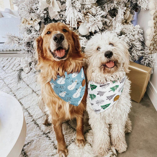 CROWNED BEAUTY Reversible Winter Dog Bandanas - Snowmen Set-2 Pack for Medium to XL Dogs DB72