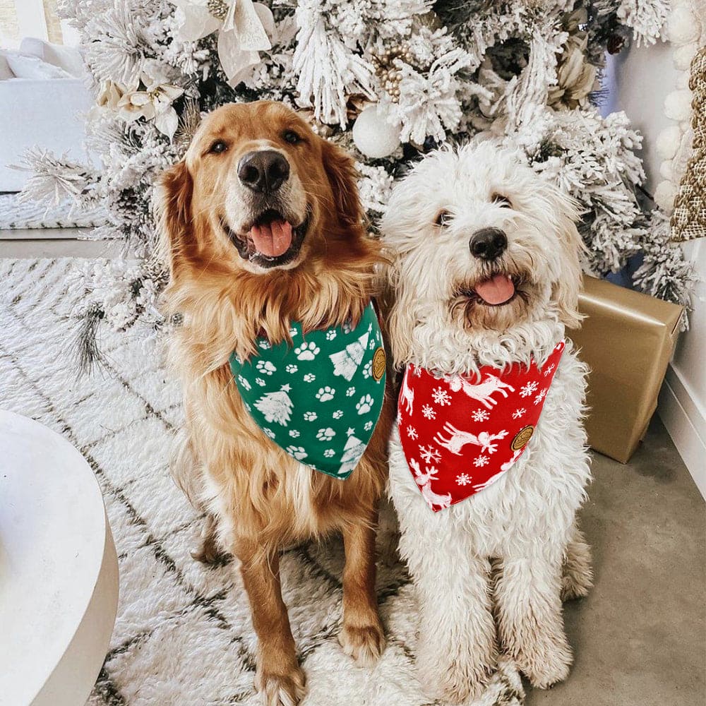 CROWNED BEAUTY Reversible Christmas Dog Bandanas - Pine & Reindeer Set-2 Pack for Medium to XL Dogs DB83