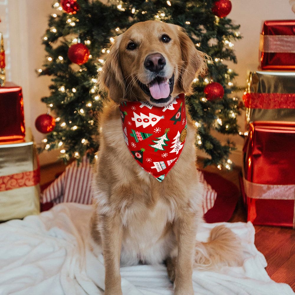 CROWNED BEAUTY Reversible Christmas Dog Bandanas - Merry Pine Set-2 Pack for Medium to XL Dogs DB84