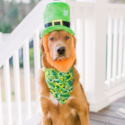 CROWNED BEAUTY Reversible St Patricks Day Dog Bandanas -Shamrock Shine Set- 2 Pack for Medium to XL Dogs DB91-L