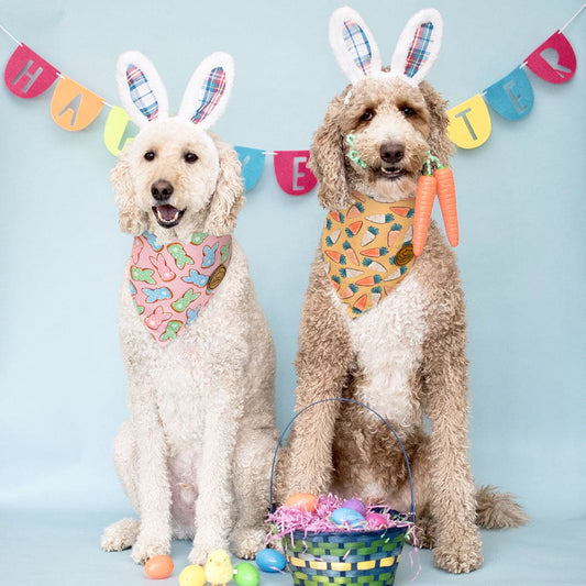 CROWNED BEAUTY Reversible Easter Dog Bandanas -Carrot Hops Set- 2 Pack for Small to XL Dogs DB98