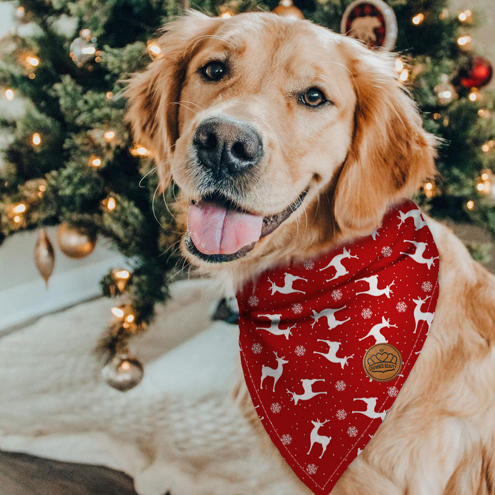 Dog christmas neckerchief hotsell