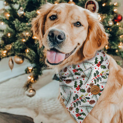 Pañuelos de Navidad reversibles para perros, paquete grande de 2, conjunto de Feliz Navidad, DB07-L