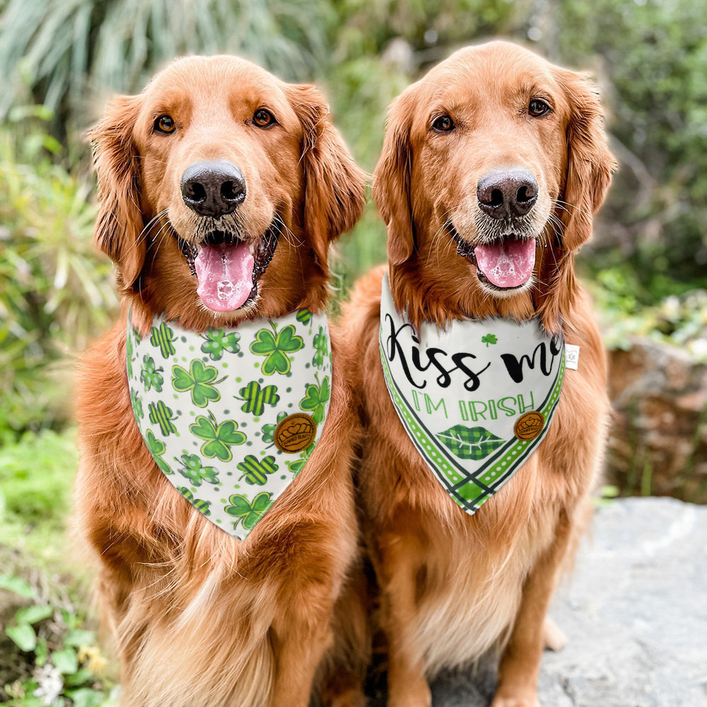 CROWNED BEAUTY St Patricks Day Dog Bandanas Large 2 Pack, Shamrocks Set, DB28-L