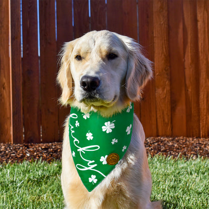 CROWNED BEAUTY St Patricks Day Dog Bandanas Large 2 Pack, Lucky Charm Set, DB31-L