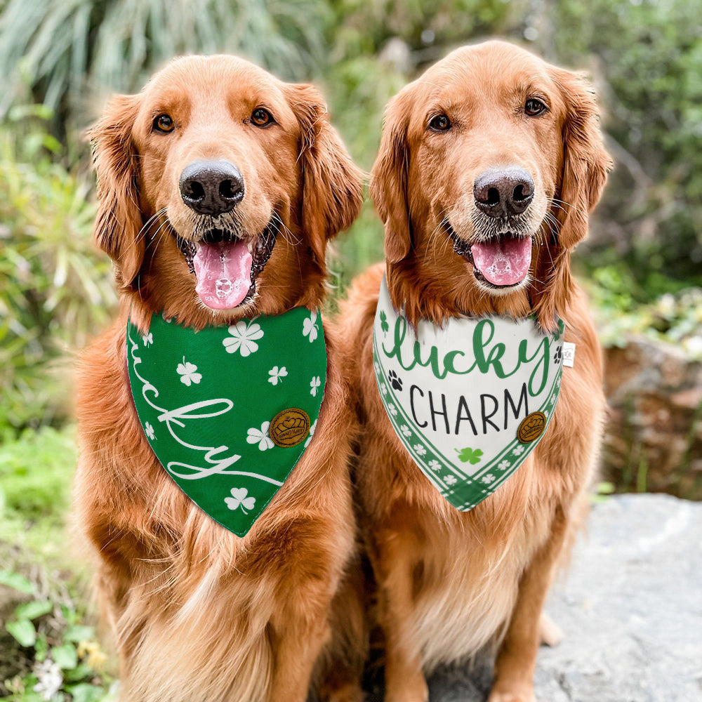 CROWNED BEAUTY St Patricks Day Dog Bandanas Large 2 Pack, Lucky Charm Set, DB31-L