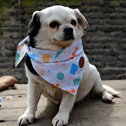 Pañuelos para perros de cumpleaños, reversibles, grandes, paquete de 2, juego de celebración, DB43-L
